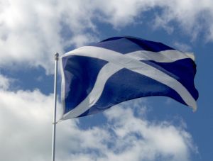 584558_flag_st_andrews_cross_1
