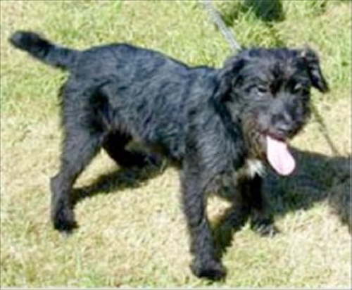 That�s a tongue and a half...