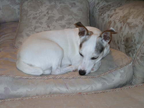 He could sleep anywhere.